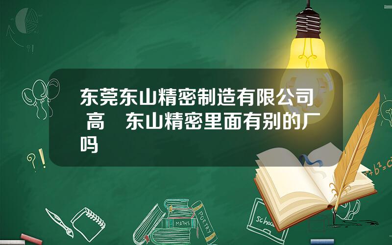 东莞东山精密制造有限公司 高埗东山精密里面有别的厂吗